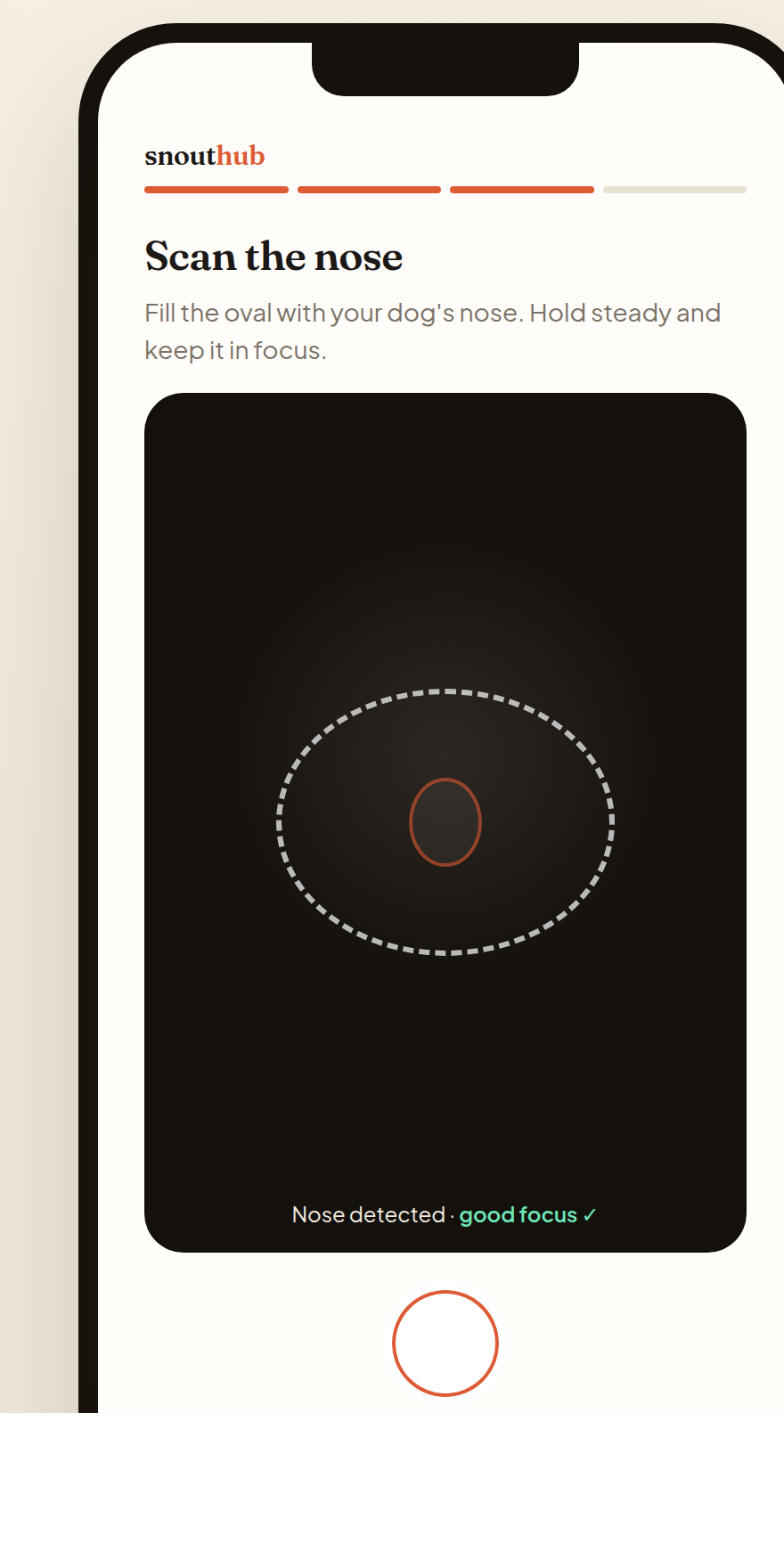 Nose scan screen